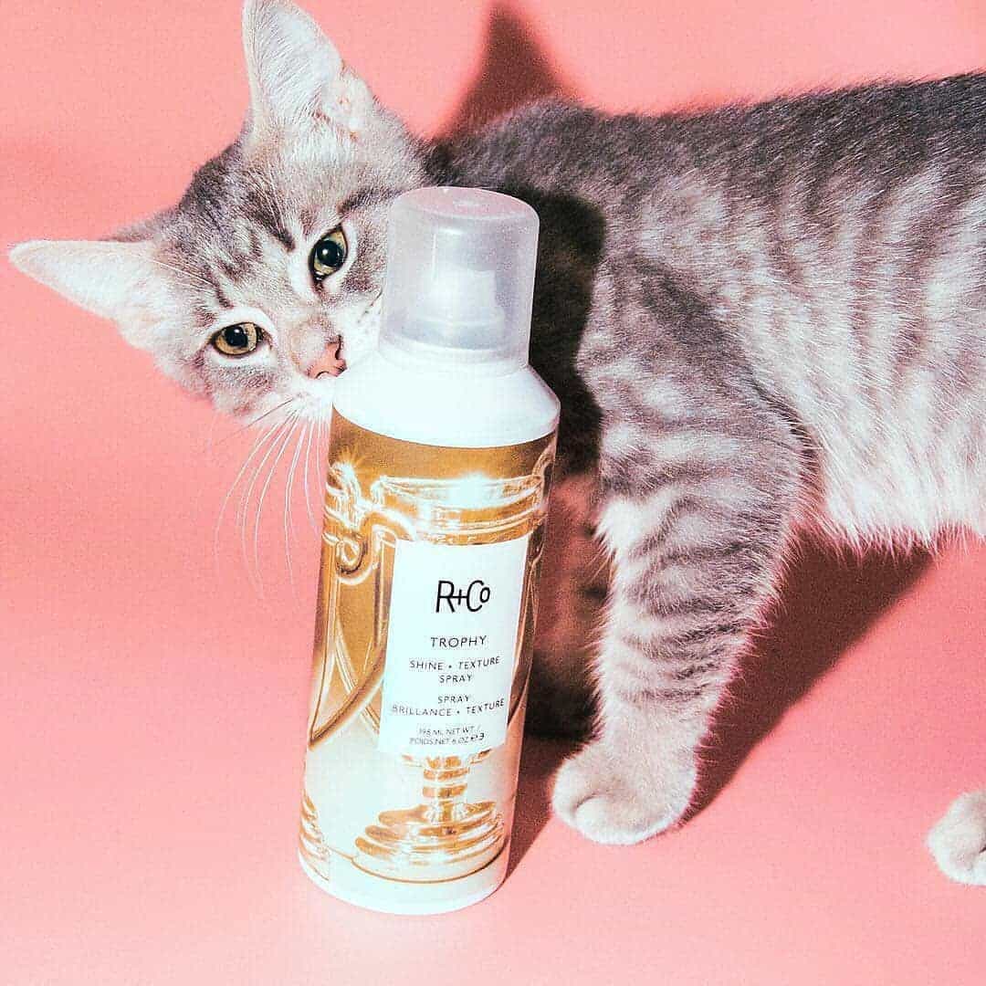 If it’s good enough for our animals… R+Co’s Trophy Spray is newly vegan and available at Adore Beauty