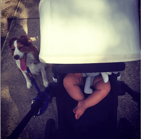 Megan’s pup has an instagram page @the_real_Bosco