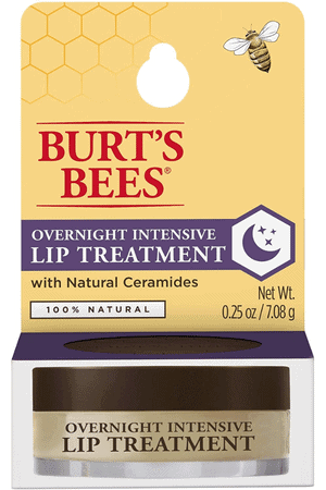 Burts Bees Overnight Intensive Lip Treatment