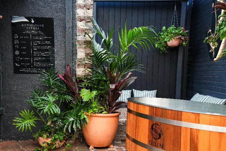 Nature’s Energy, Glebe: A Spiritual Haven