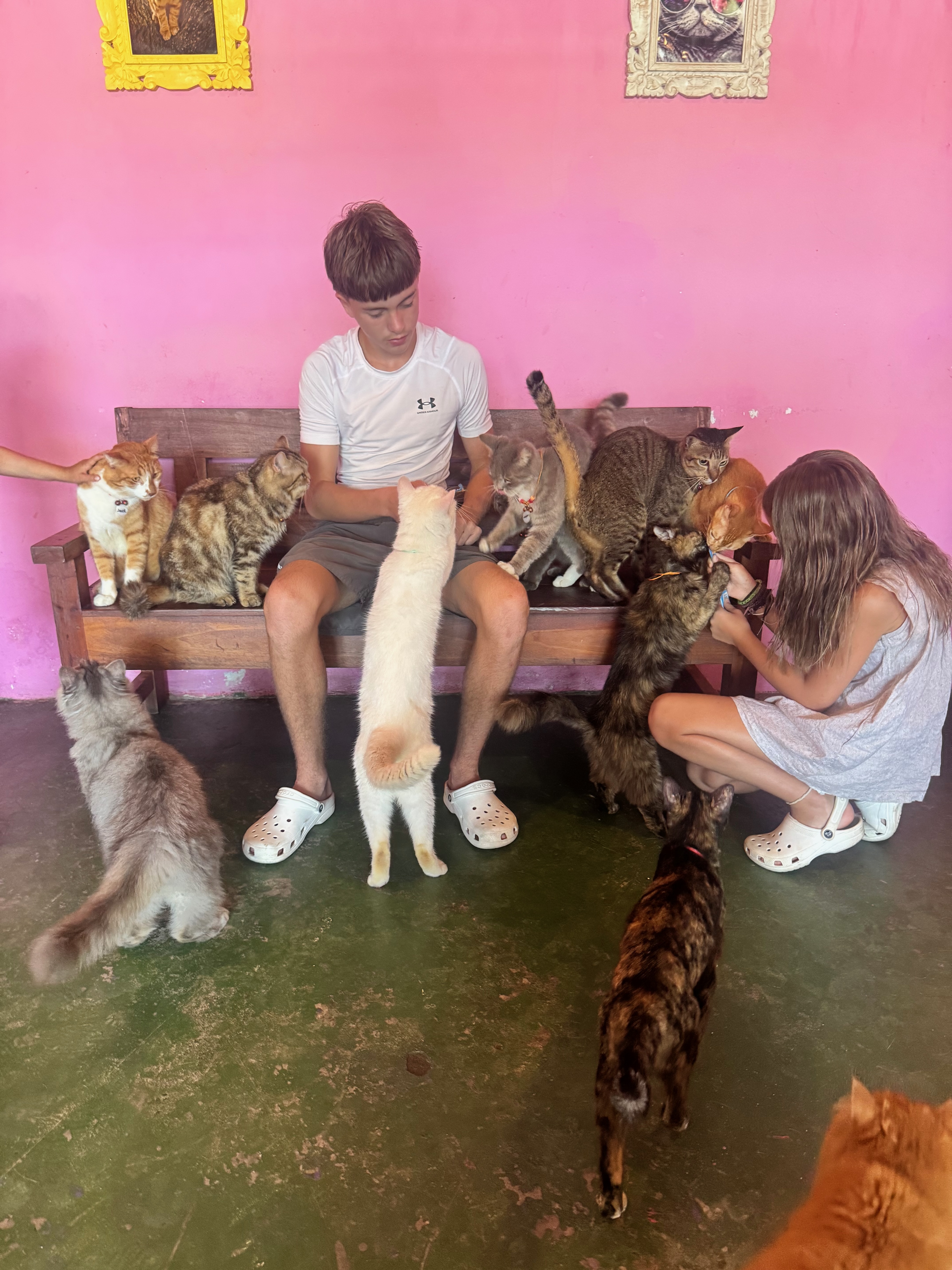 Cat Island, Nusa Lembongan — underneath an Irish pub, above the seaweed farms, and worth every minute