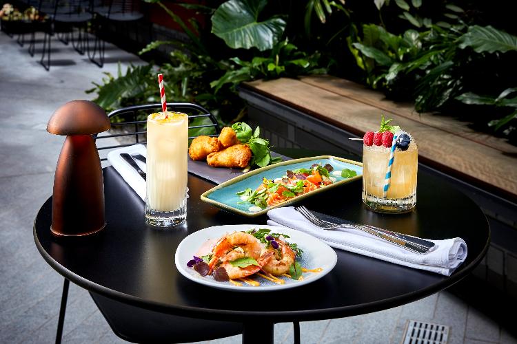 Solander archierose barsnack cocktail landscape