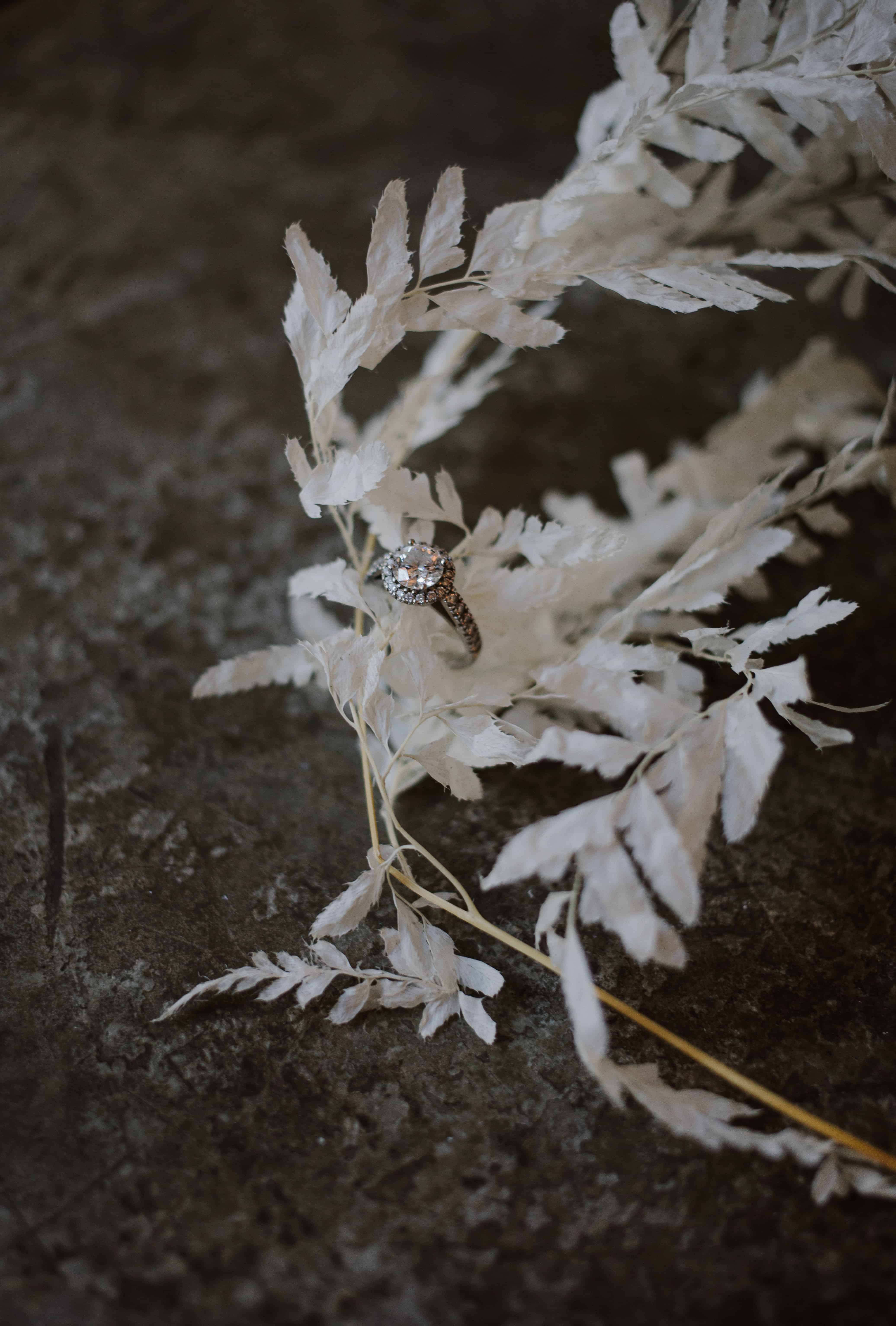 Beauticate x alice mahran 31 of